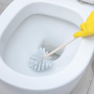 Premium Toilet Plastic Brush with Holder Stand Western and Indian Toilet Bathroom Cleaning